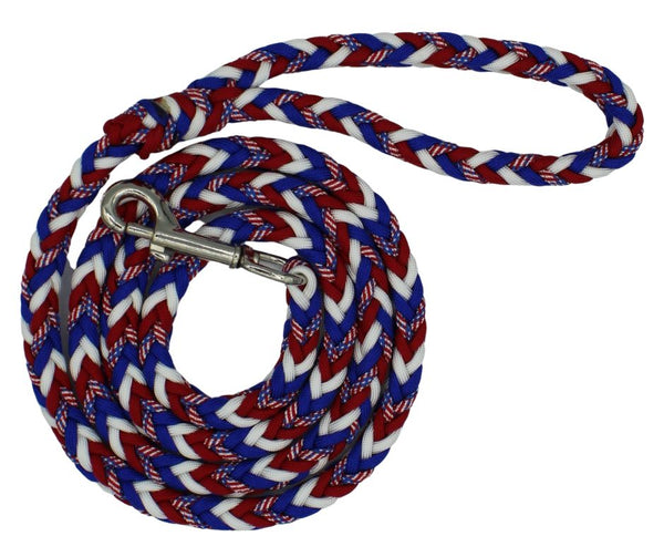 Stars and Stripes Paracord Dog Leash