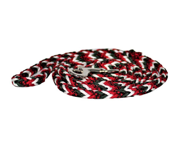 In Time for Christmas Paracord Dog Leash