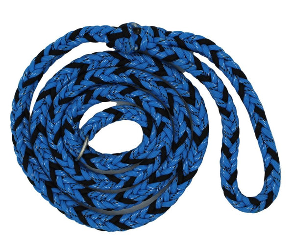 Icy Cold Paracord Dog Leash