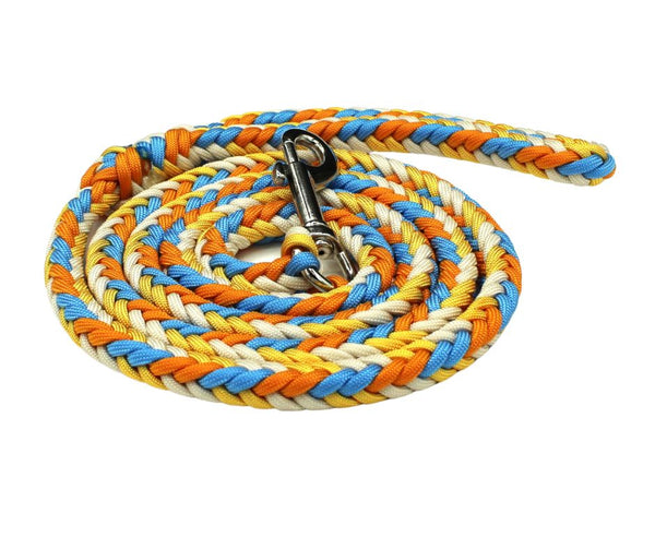 Amber Renegade Paracord Dog Leash