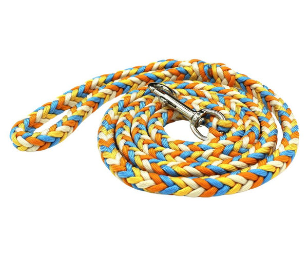 Amber Paracord Dog Leash/Lead