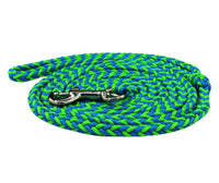 Blue and Green Dog Leash