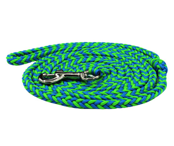 Blue and Green Dog Leash