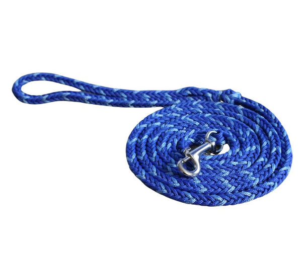 Royal and Light Blue Paracord Leash