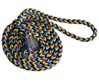 Sunset On the Bay Paracord Dog Leash