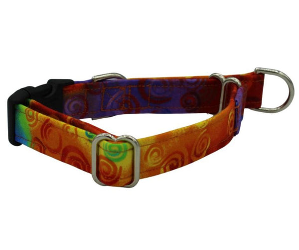 Multi-Colored with Swirls  Limited Slip Collar