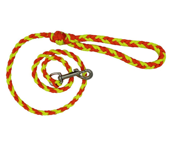 Twisted Leash with a Box Handle Speciality Dog Leash