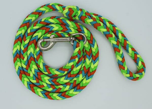 Chameleon Paracord Dog Leash by The Leash Ladies