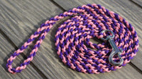 Pink and Purple Twisted Leash (24 lbs and under)